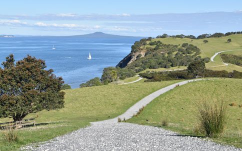 Caminos naturales en Shakespear Park Sendero de tierra entre colinas verdes en Shakespear Park
