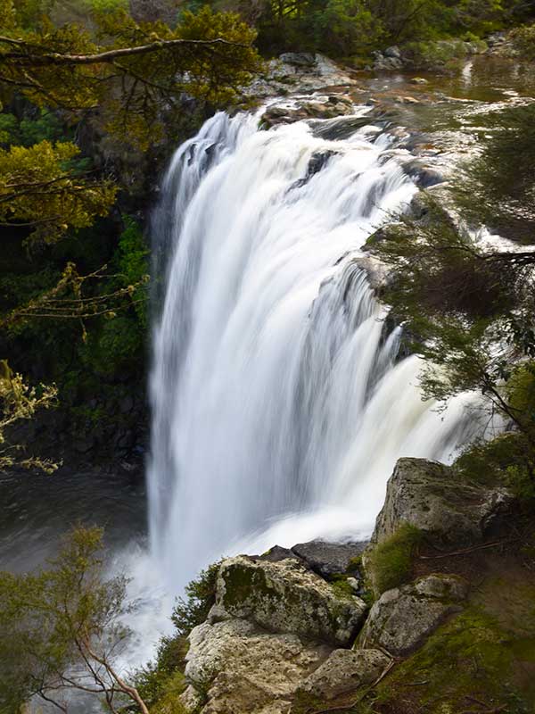 Cascada en el corazón de Kerikeri Caída de agua cristalina en medio del bosque de Kerikeri.