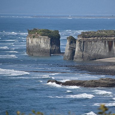 Acantilados escarpados en la Isla Sur de Nueva Zelanda Rocas acantiladas en la costa norte de la Isla Sur de Nueva Zelanda bajo el sol.