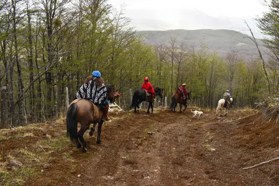 Campo Fundo el Montañoso