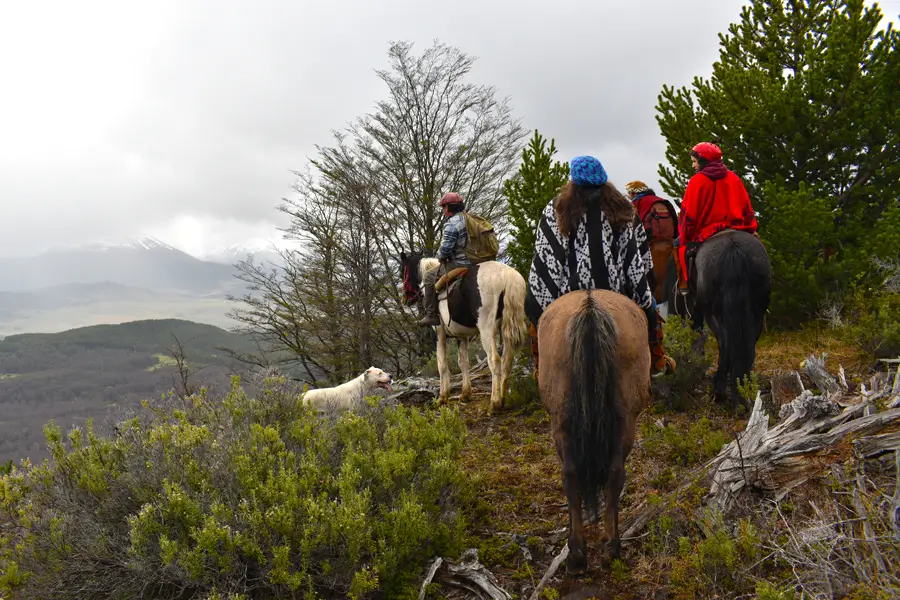Caballos en el Fundo