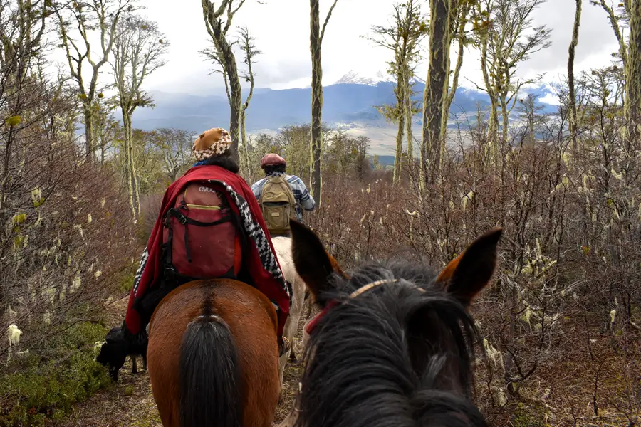 Actividades grupales en Aysén
