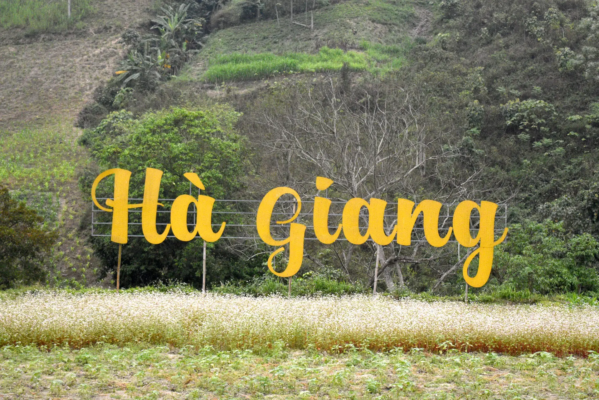 Cultura local Ha Giang