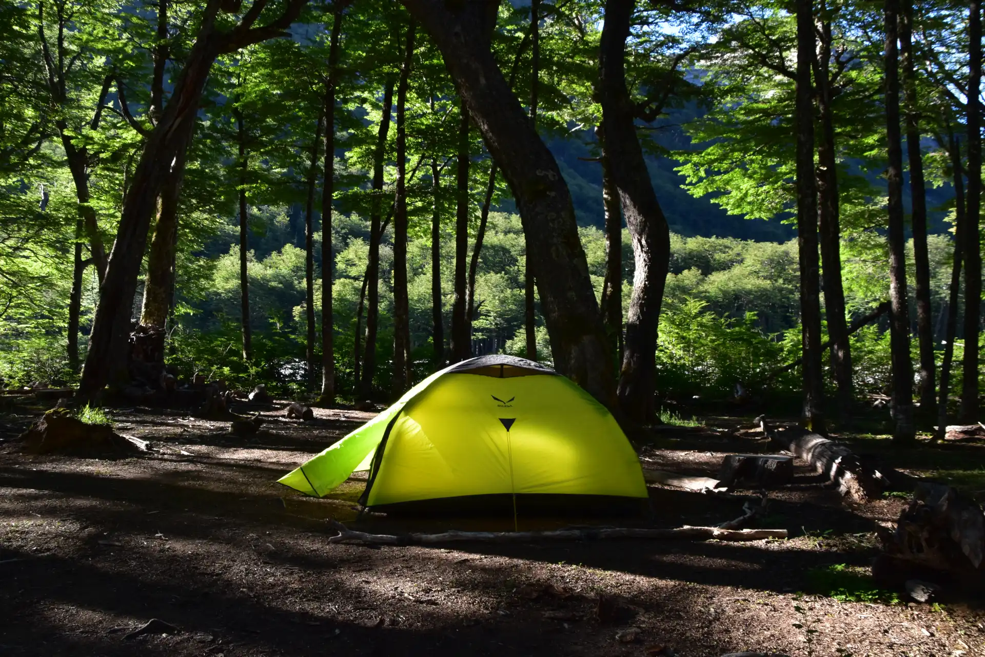 camping el bosque